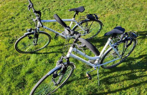 Ferienhaus zum Sonnenblick - Foto 20