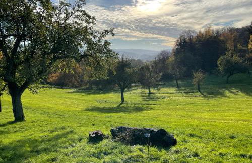 Odenwald-Lodge mit Infrarotsauna und E-Ladestation im Naturpark Odenwald "Haus Himmelblau" - Foto 19