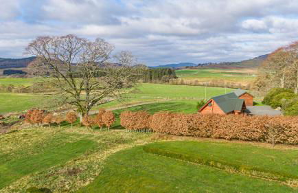 Wildcat Lodge - Foto 15