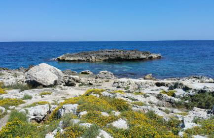 Villa L'isola - Foto 15