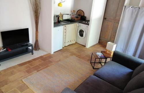 studio au sein d'un mas en Camargue - Photo 14