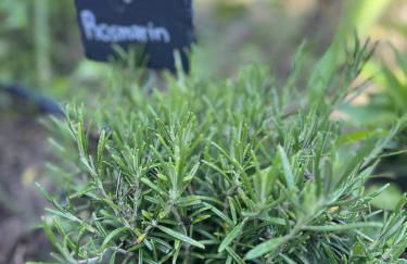 Luxus Studio 10 Min zur Porta Nigra inkl Parkplatz - Foto 53