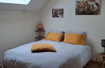 Manou du Lac Annecy - Foto 21