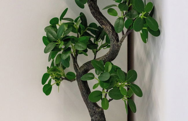 Klifowa Resort Rewal by Renters Prestige - Photo 44