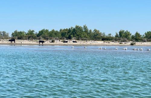 Résidence L’Oiseau des Sables - Foto 17