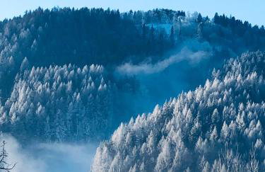 Na Świerkowym Strychu - Photo 9