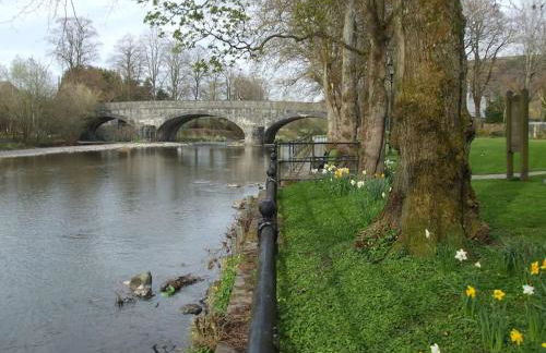 200 year old Gardener's cottage, Mid Wales - Foto 9