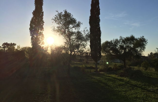 Alexander Apartments - Foto 61