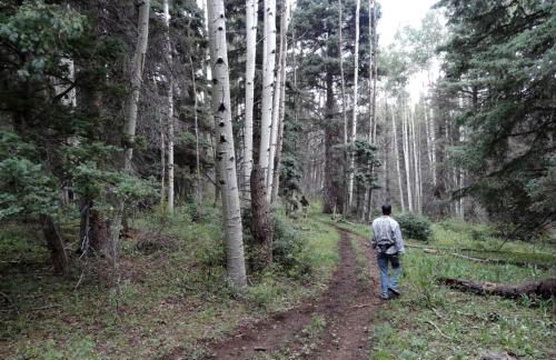 Gorgeous Casita with 360-Degree Views of Abiquiu Lake and Ghost Ranch near Santa Fe, New Mexico - Foto 24