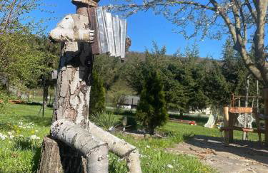 Zacisze Osławy Agroturystyka - Foto 14