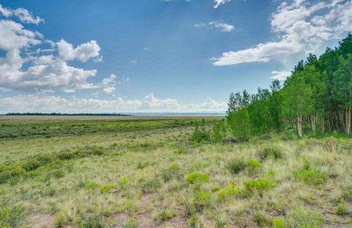 24-00050 Mtn Views and Deck Fairplay Cabin - Foto 21