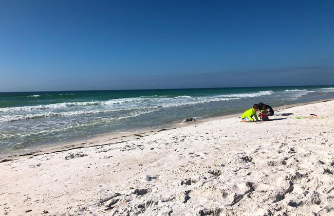 Anna Maria Island Beach Palms 6B - Foto 13