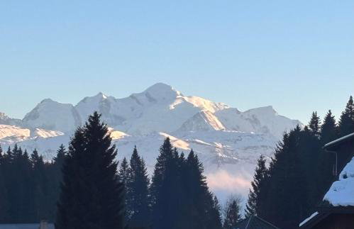 Appartement 3 chambres balcon vue montagne centre station - Photo 3