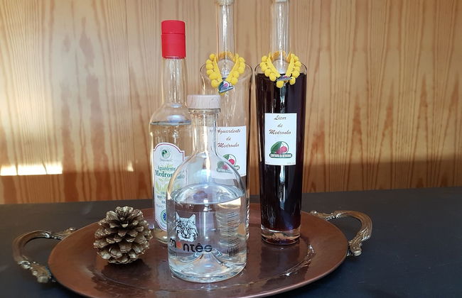 Casa de Baixo - Nature Hotel - Foto 81