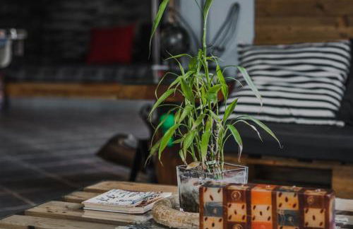 The Modern & Recycled House - Photo 16