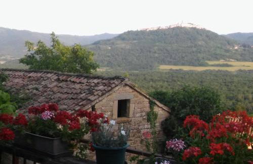 Apartment Staleta Tartuf - Foto 15