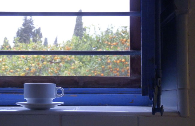 Mas De Bernis 1888 - Photo 11