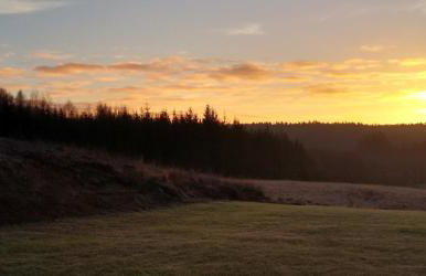 Ptasi Zakątek - Foto 14