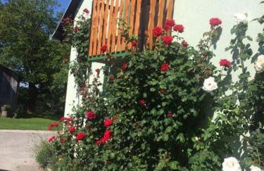 Holiday Home Mađerka - Foto 48