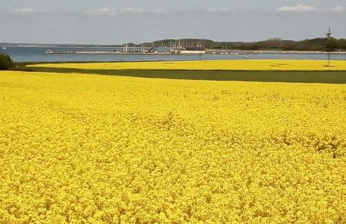 Ferienhaus Pippilotta Olpenitzdorf - Foto 23