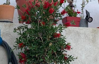 Magnifique vue sur la mer ... - Foto 75