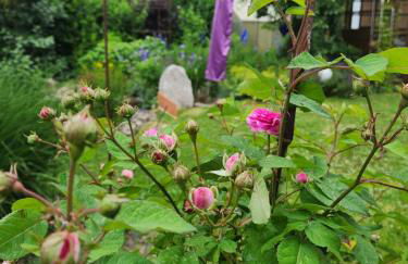Familienfreundlich im Naturpark Haßberge mit gehobener Gastronomie - Foto 10
