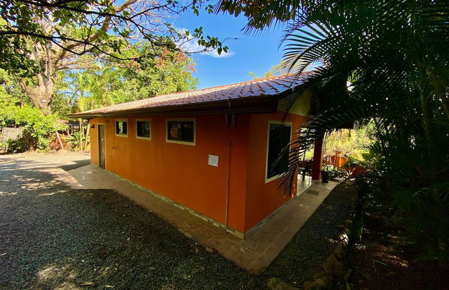 Terminal Verde - Foto 46