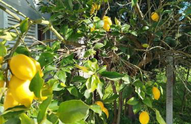 Cosy Loft by l'Arche de Jo - Foto 21