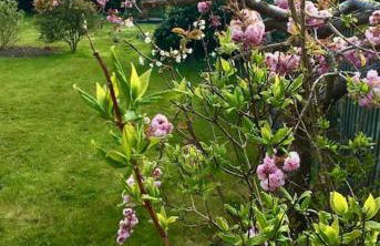 Kelvinside, Seahouses, 2 minute walk into village - Foto 10