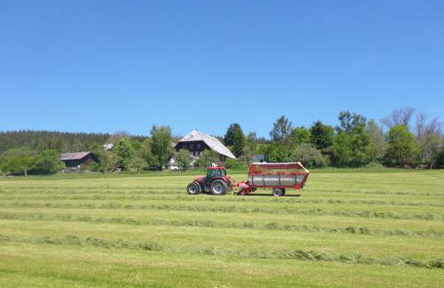 Ferienwohnung Schwarzwald-Alpenblick - Foto 29