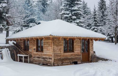 Mountain house Beauty of Laz - Foto 17