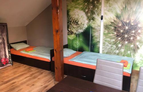 Apartamenty Maria - Foto 31