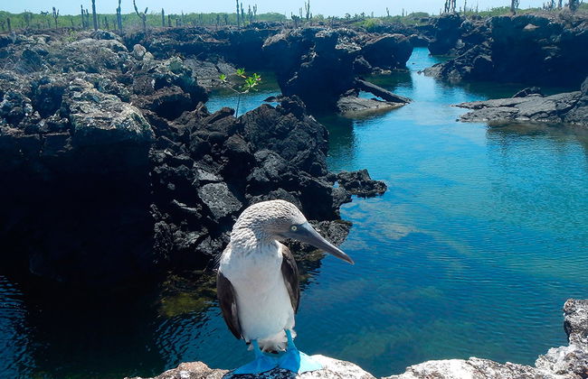 Cabo Rosa Tunnels - Tagestour - Foto 4