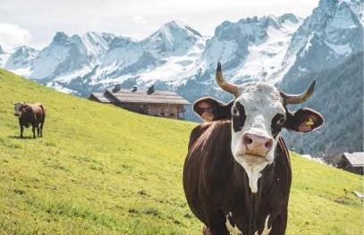 Studio Chinaillon Grand Bornand - Foto 9