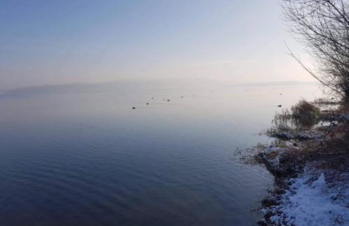 Sielanówek - Orzechowa Chatka z sauną wanną termalną jacuzzi - Foto 33
