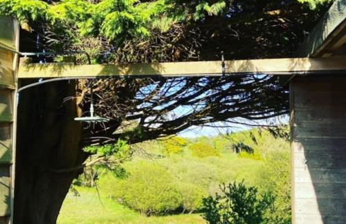 The Cabin at Bragdy - Photo 11