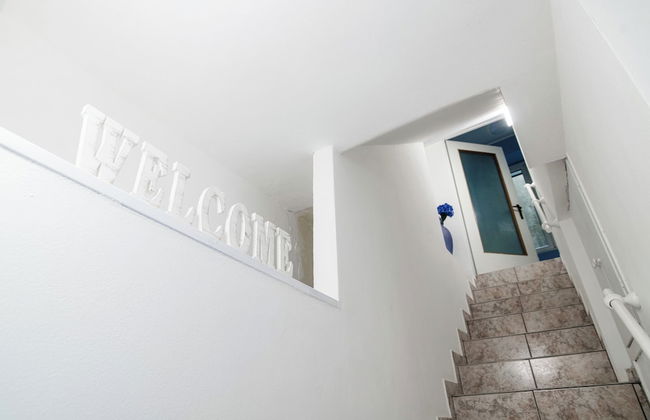 Lemon Tree - Photo 4