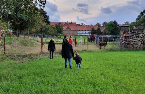 Gelbes Haus Seenland Ferienwohnungen XL - Foto 42