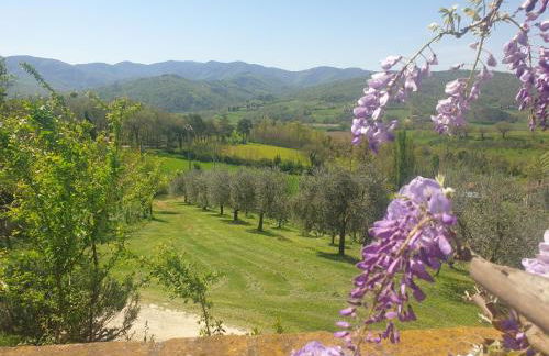 Agriturismo Val della Pieve - Foto 20