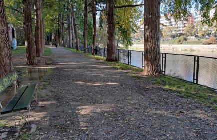La Terrazzina, silenzioso, zona Piazza Gran Madre - Foto 30