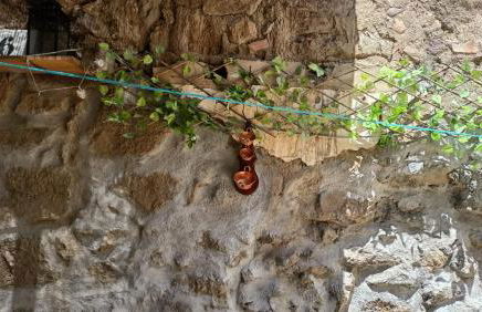 Casa Rural Neveritas - Photo 18