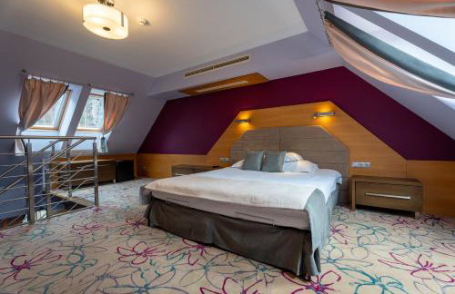 Hotel & SPA Czarny Groń - Foto 58