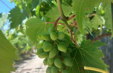 Villa San Vito Bay - Foto 48