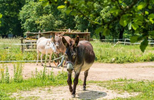 Lou Tapata - Photo 25