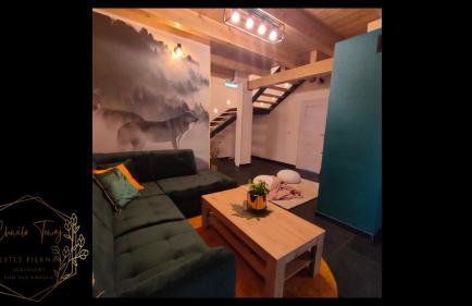 Chwilo Trwaj dom z jacuzzi, sauną i kominkiem z widokiem na góry Korbielów Pilsko - Foto 37