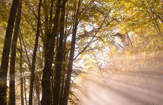 Comfortable Chalet in Giarola with Mountain View - Foto 11