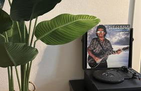 La Magnolia Firenze - Photo 6