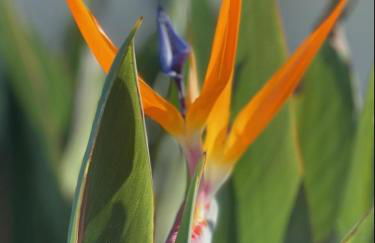 Oceanfront Studio on Longboat Key! - Foto 74