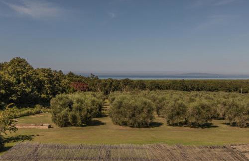 Podere San Niccola - Foto 21