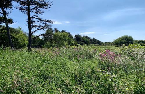 Pen Braint - Foto 22